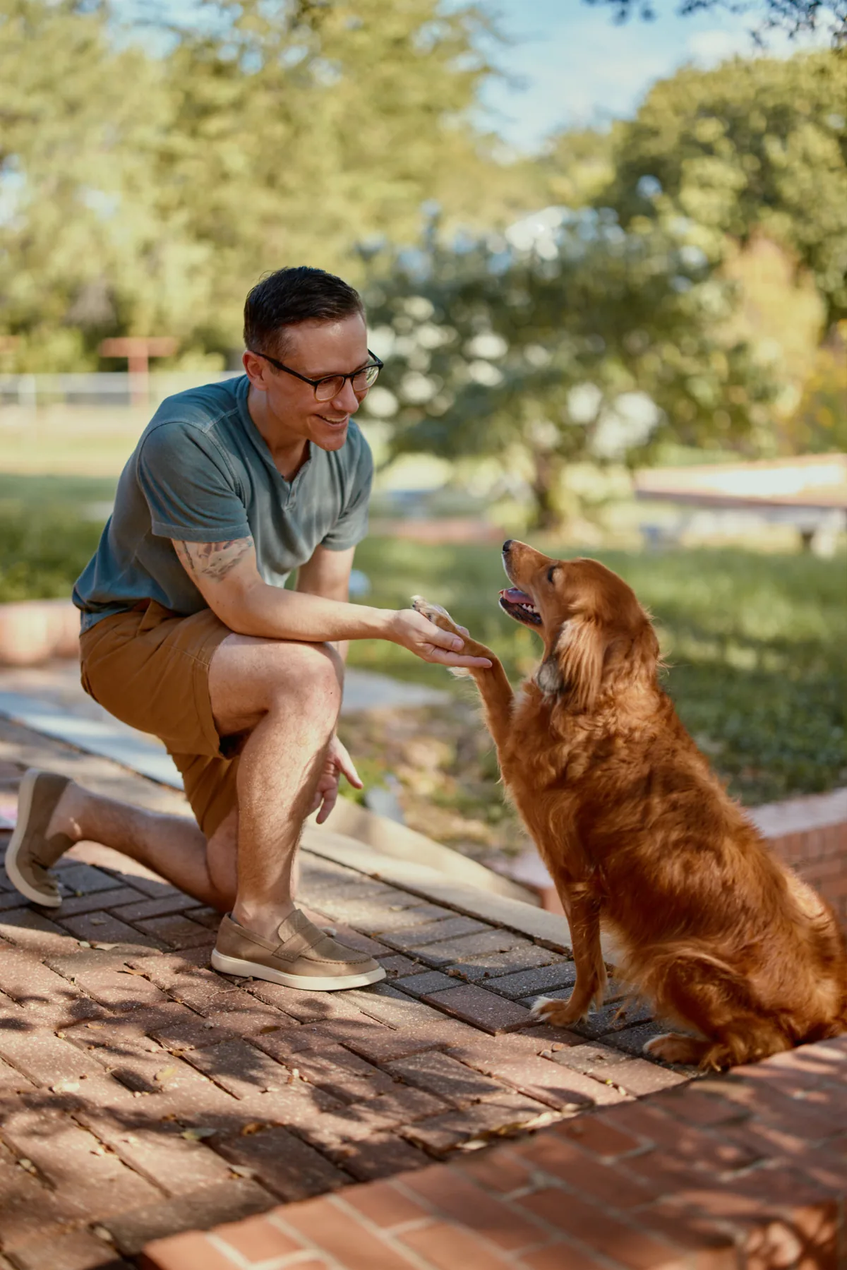 Man crouching on a brick path to greet a golden retriever, a candid reaction shot for a dating profile
